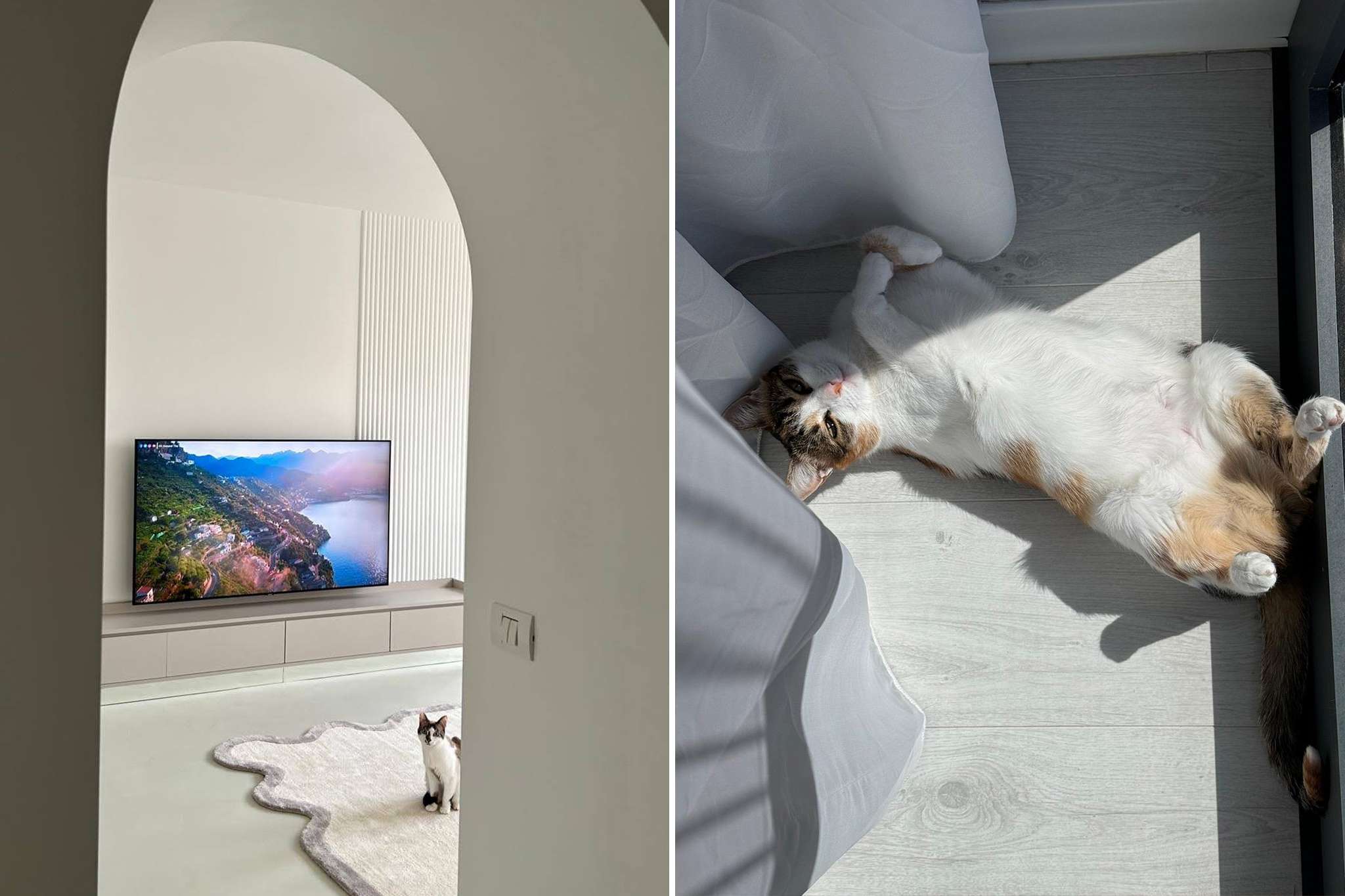 Amenajare interioara pet friendly