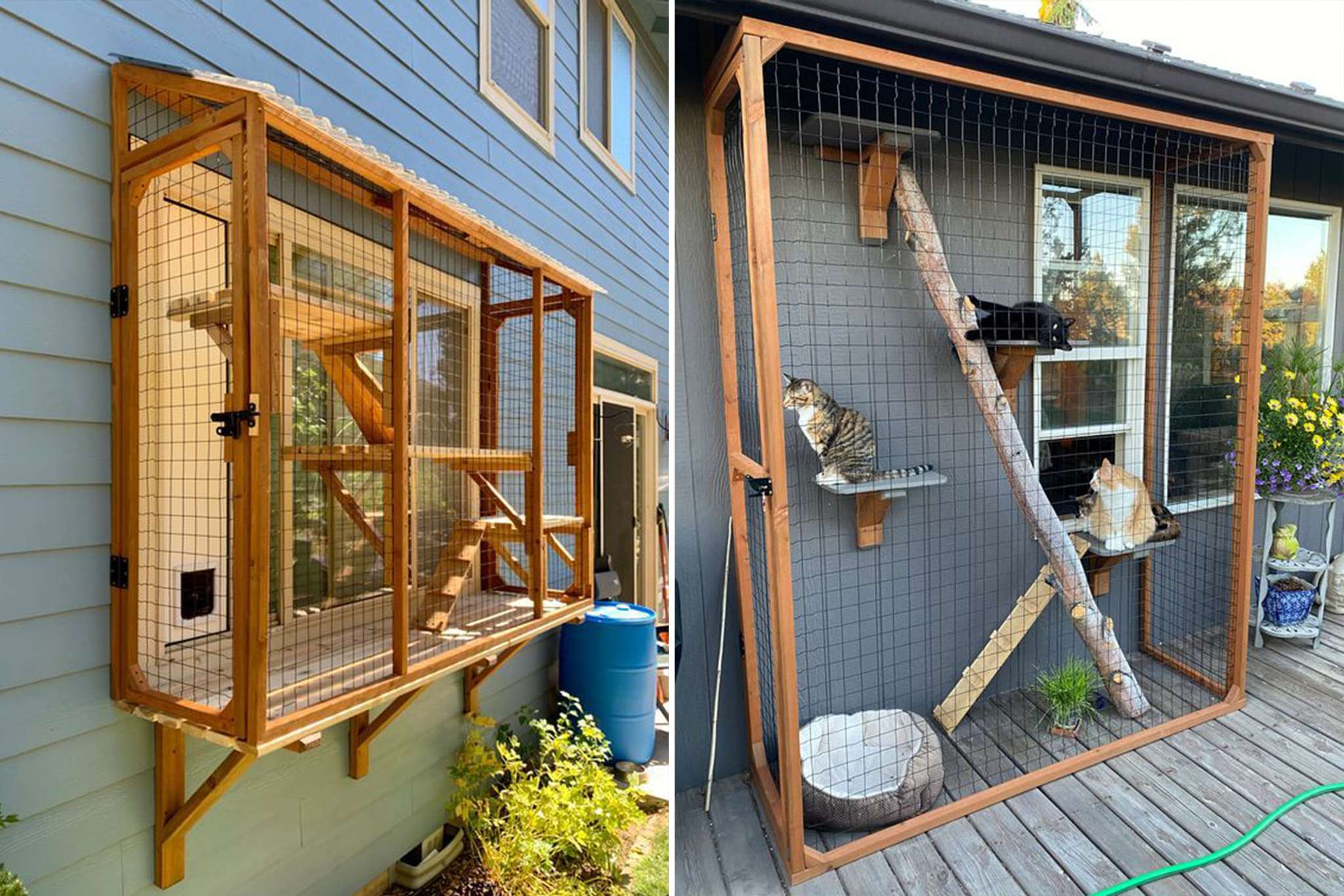 Design pet friendly