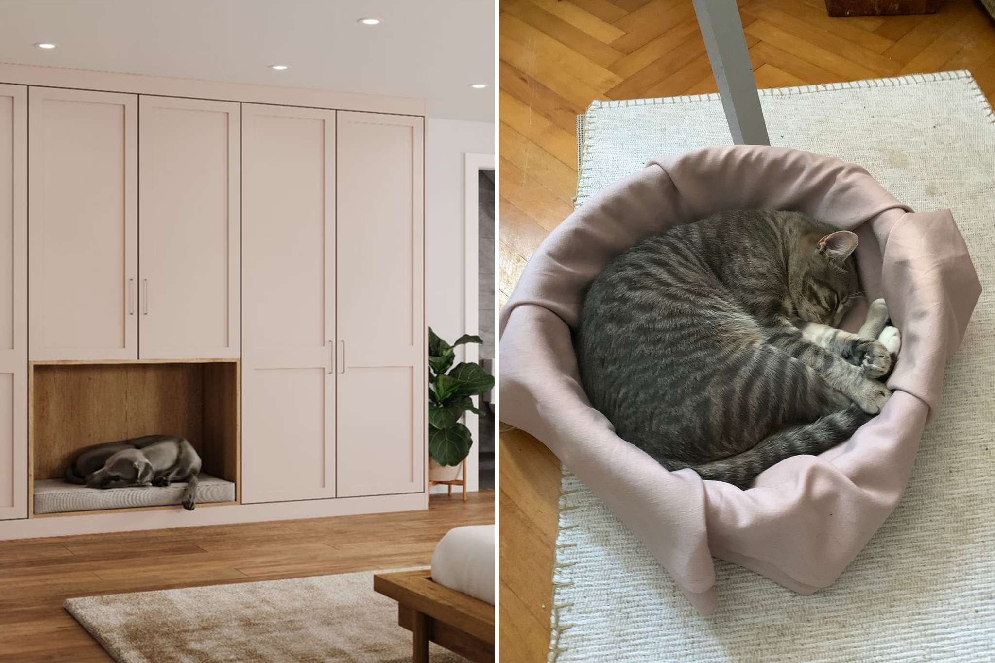 Amenajare interioara pet friendly
