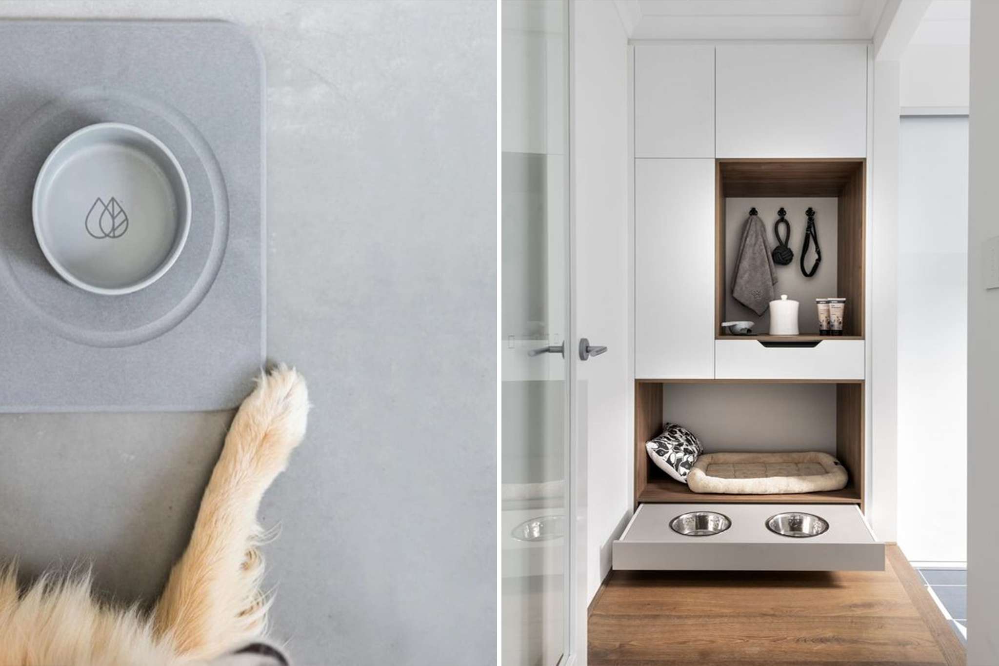 Amenajare interioara pet friendly