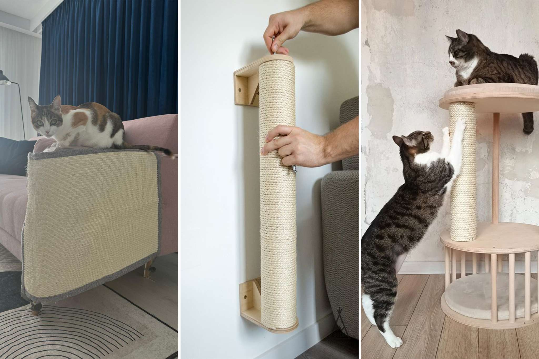 Amenajare interioara pet friendly