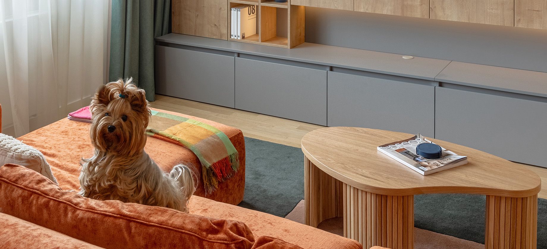 Amenajări Interioare Pet Friendly Amenajări Interioare Pet Friendly